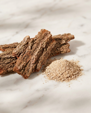 SLIPPERY ELM BARK (40mg)