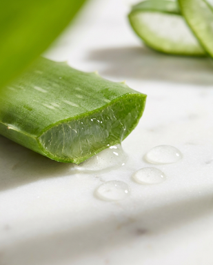 ALOE VERA EXTRACT (4.5mg) (≈900mg fresh)